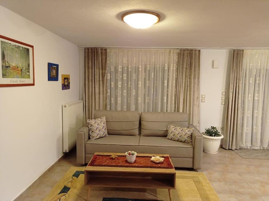 Ferienwohnung Trikala Alex House Exterior foto