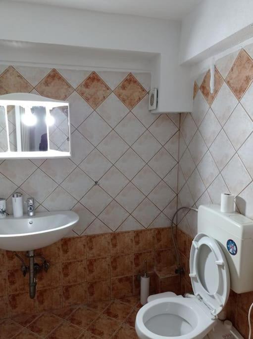 Ferienwohnung Trikala Alex House Exterior foto