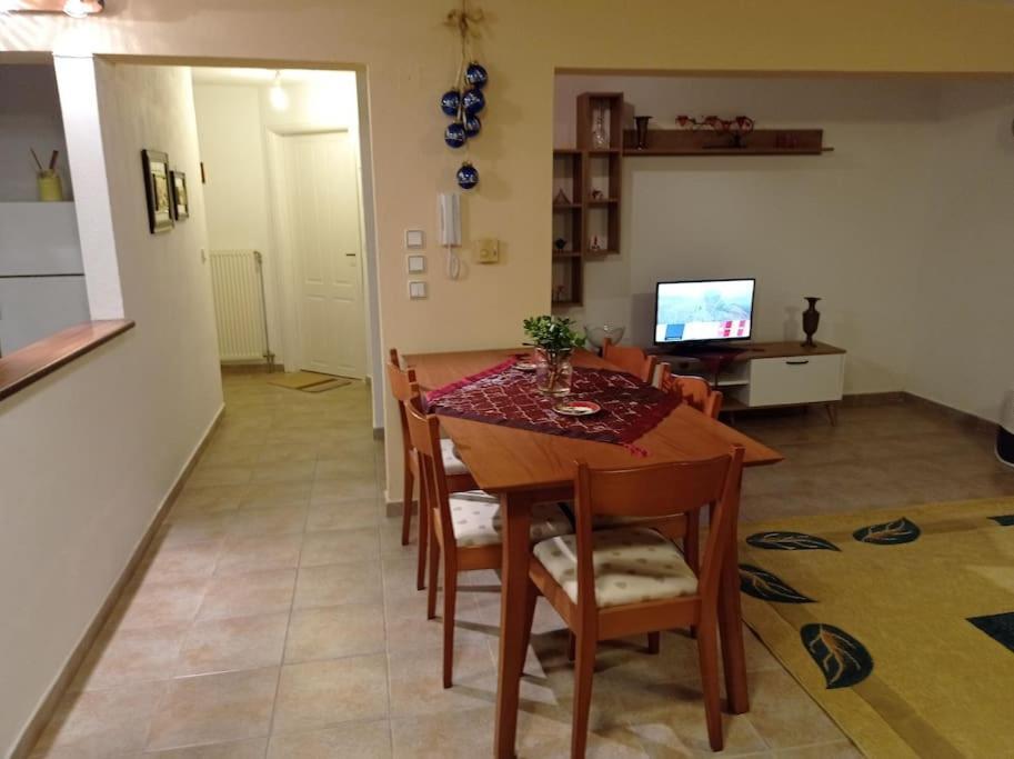 Ferienwohnung Trikala Alex House Exterior foto